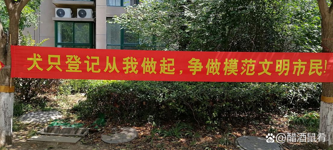 兰吉德电子